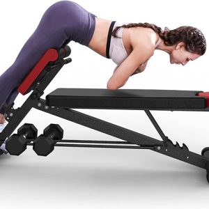 Multi-Functional Weight Bench