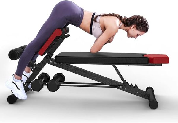 Multi-Functional Weight Bench